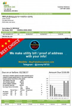Maine Natural Gas Portland utility bill Sample Fake utility bill